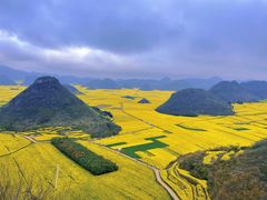 -罗平振兴老店砂锅饭(文笔路店)