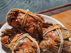 -喜洋洋蟹庄(阳澄湖店)