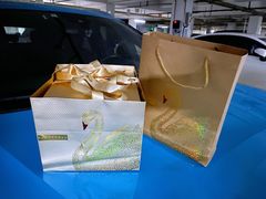 -BLACKSWAN黑天鹅(环球店)