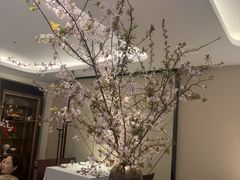 -漾亚·雍雅合鲜(桐梓林店)