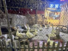 -鱼窝棚柴火铁锅炖(富山屯店)