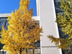 教学楼-北京城市学院(航天城校区)