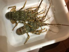 -海儀美食楼(湾仔海鲜街店)