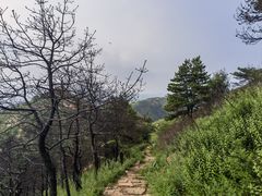 -青龙山景区