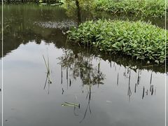 -西湖风景区-江洋畈生态公园