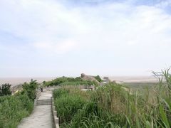 -洋山深水港