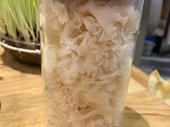 鲜绣球菌-好彩猪肚鸡(正弘城店)