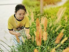 -天津东丽湖风景区