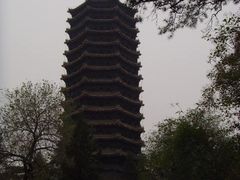 -博雅塔
