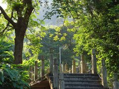 -阳台山森林公园