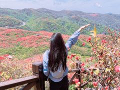 -大围山国家森林公园