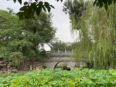 -莲湖公园