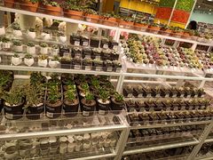 -KKV(重庆东原悦荟主力店)