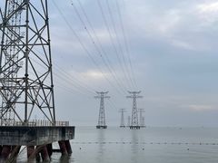 -宝安西湾红树林湿地公园