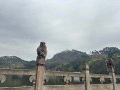 -黔灵山公园