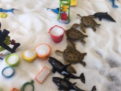 点击看大图 -超级奈尔宝SUPER NEOBIO(杭州星光店)