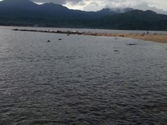 -西涌国际滨海旅游区