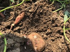 -乡乐园蟹庄·阳澄湖农家乐