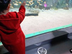 -常州海昌海洋探索馆