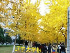 -辽宁大学(崇山校区)
