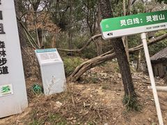 -灵岩山风景区