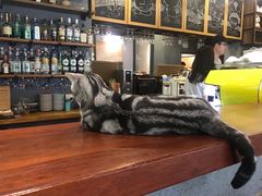 -咖法森林·咖啡  酒吧(天河店)