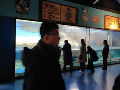 -海合安武汉极地海洋公园