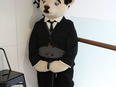 android_upload_pic-济州岛泰迪熊博物馆