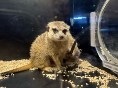 -太平洋海底世界