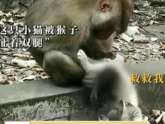 -昆明动物园