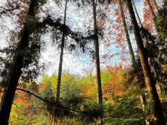 -莫干山风景区