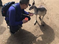 -可伦宾野生动物保护区