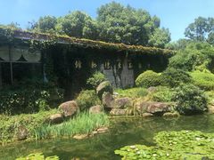 -中国茶叶博物馆(双峰馆区)