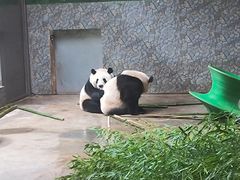 -西安秦岭野生动物园