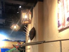 -土著渔匠·养生蝴蝶鱼(香樟路店)