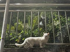 -广东食品药品职业学院(龙洞校区)