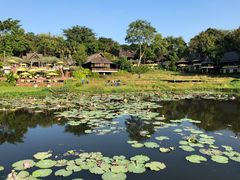 -四季酒店下午茶