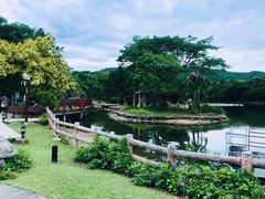 -清迈夜间动物园