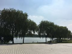 -东华大学(松江校区)