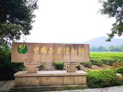 -中国茶叶博物馆(双峰馆区)