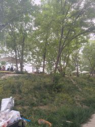 -268童话露营农场·烧烤·团建
