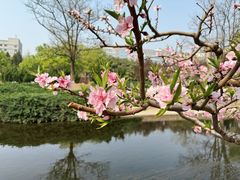 -元大都城垣遗址公园