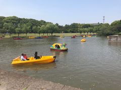 -上海方塔园