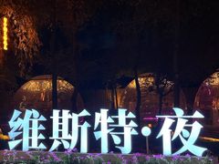 -维斯特·夜烤牛肋条任吃