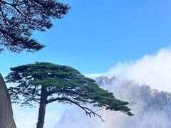 -黄山风景区
