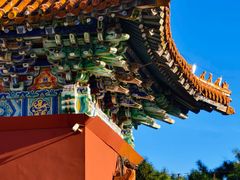 -北陵公园