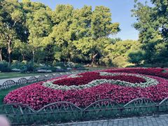 -上海共青森林公园