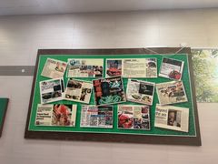 -無招牌海鮮(芽笼店)