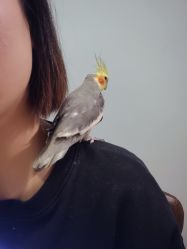 -妙指·日式美甲美睫