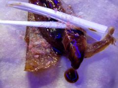 -三人行骨头王火锅(长寿店)